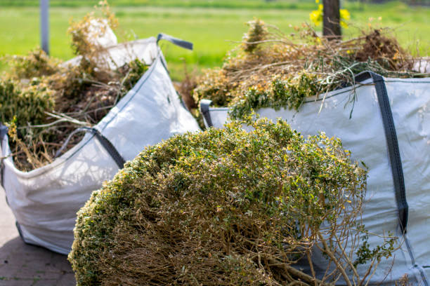 Best Construction Debris Removal  in Willow Oak, FL