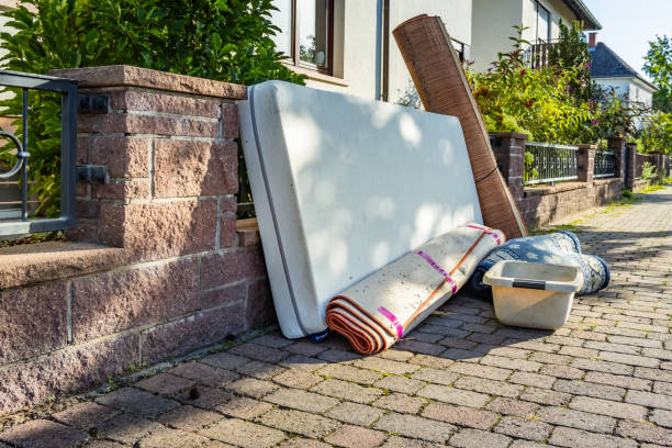 Best Basement Cleanout Services  in Willow Oak, FL